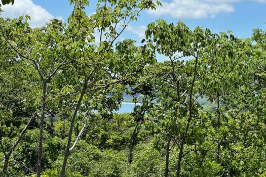 Stunning Coastal Views + 13.4 Forested Acres on the Gold Coast of Guanacaste