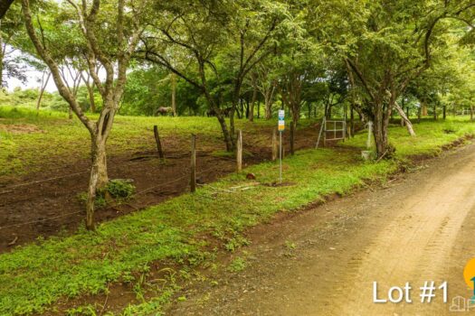 AVELLANAS LOTS IN CERRO GRANDE