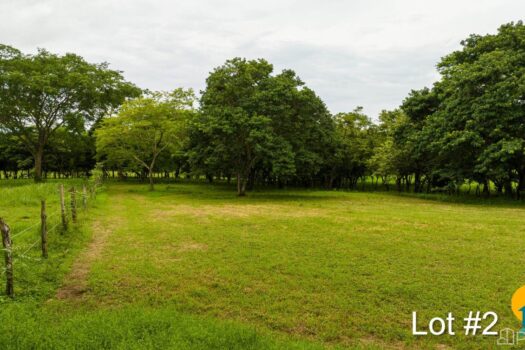 AVELLANAS LOTS IN CERRO GRANDE