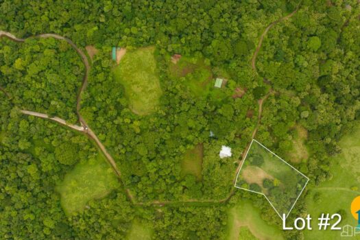 AVELLANAS LOTS IN CERRO GRANDE