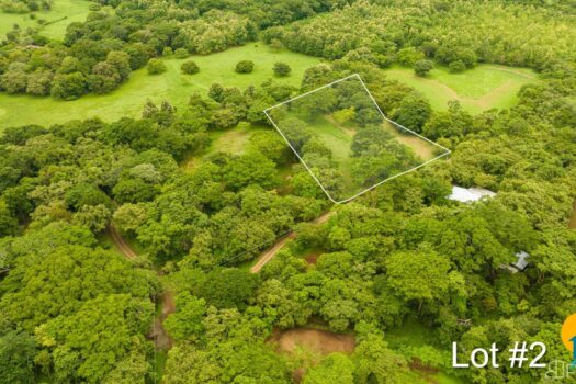 AVELLANAS LOTS IN CERRO GRANDE