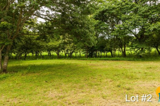 AVELLANAS LOTS IN CERRO GRANDE