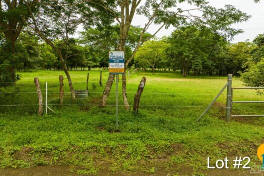 AVELLANAS LOTS IN CERRO GRANDE