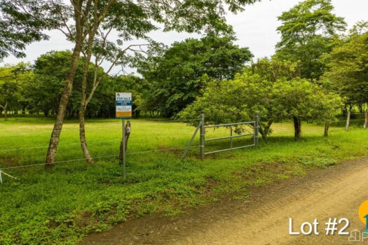AVELLANAS LOTS IN CERRO GRANDE