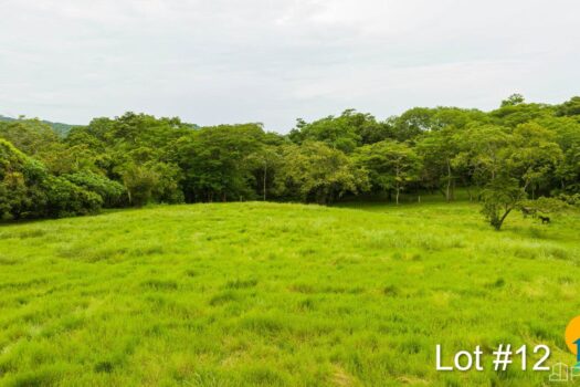 AVELLANAS LOTS IN CERRO GRANDE