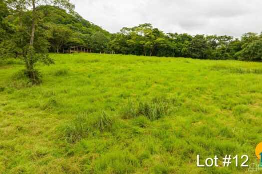 AVELLANAS LOTS IN CERRO GRANDE