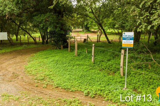 AVELLANAS LOTS IN CERRO GRANDE