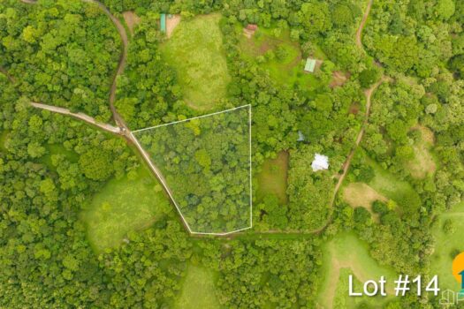 AVELLANAS LOTS IN CERRO GRANDE