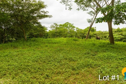 AVELLANAS LOTS IN CERRO GRANDE