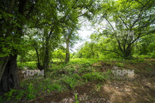 LARGARTILLO / AVELLANAS MULTIPURPOSE PROPERTY