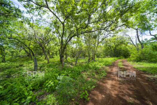 LARGARTILLO / AVELLANAS MULTIPURPOSE PROPERTY