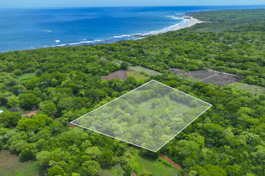 LARGARTILLO / AVELLANAS MULTIPURPOSE PROPERTY