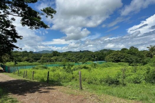 Prime 5000m² Land for Sale Near Tamarindo