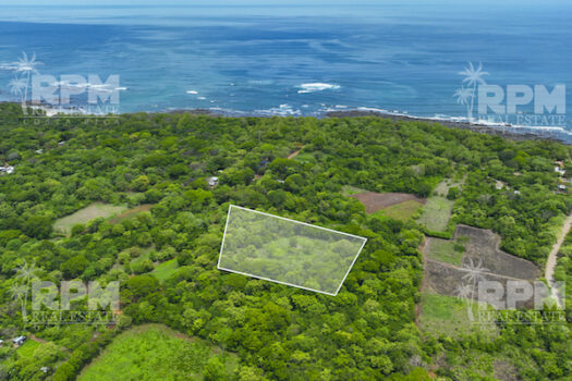 LARGARTILLO / AVELLANAS MULTIPURPOSE PROPERTY