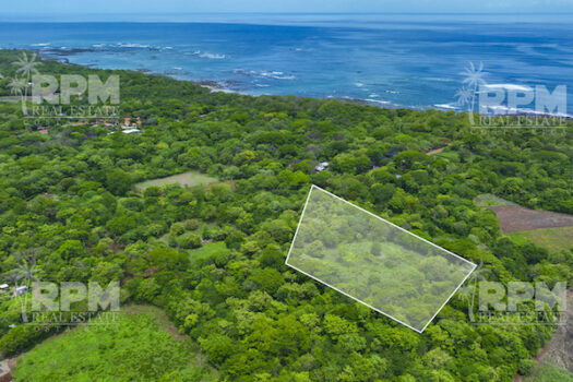 LARGARTILLO / AVELLANAS MULTIPURPOSE PROPERTY
