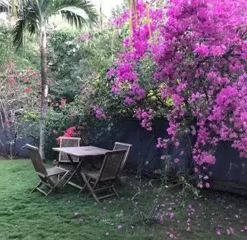 2 Houses With Pool and Beautiful Garden In Finca Panamá