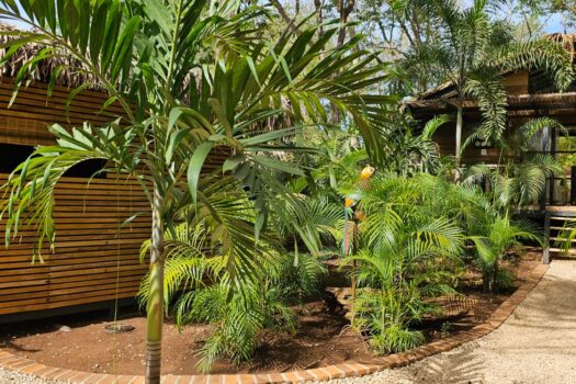 ONE OF A KIND, SUCCESSFUL WELLNESS, SPA AND RESTAURANT OASIS CLOSE TO TAMARINDO