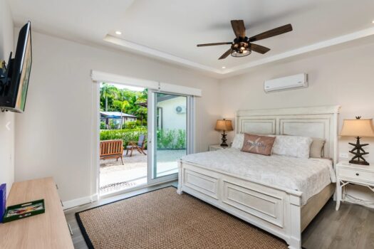 GREAT UNIT IN THE THE POINT AVELLANAS