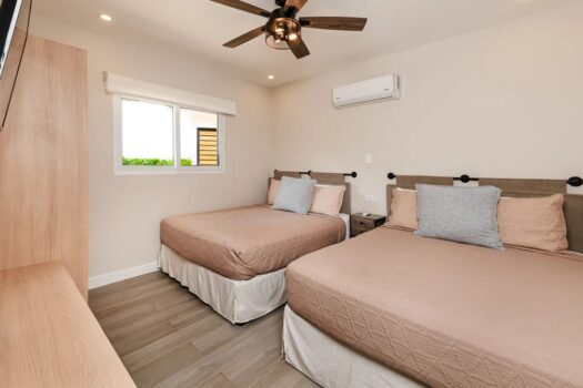 GREAT UNIT IN THE THE POINT AVELLANAS