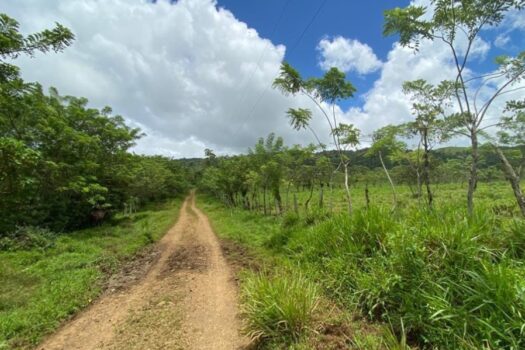 Spectacular 93-Hectare Eco-Development Opportunity in Miravalles Volcano, Costa Rica, MAKE IT YOURS!!