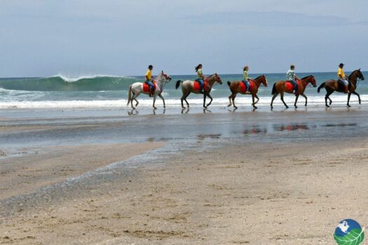 Exclusive Lot in Playa Avellanas + Greal deal + Amazing Location