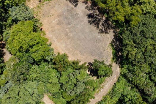 Nature’s Retreat: Exclusive Properties in Canafistula Reserve LOTS 5000M2