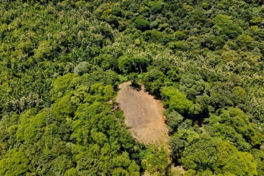 Nature’s Retreat: Exclusive Properties in Canafistula Reserve LOTS 5000M2