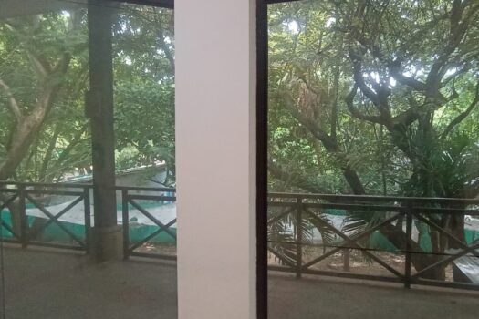GREAT COMMERCIAL PLACE IN TAMARINDO CENTER