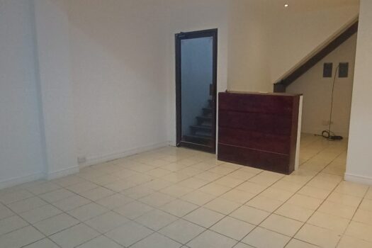 GREAT COMMERCIAL PLACE IN TAMARINDO CENTER