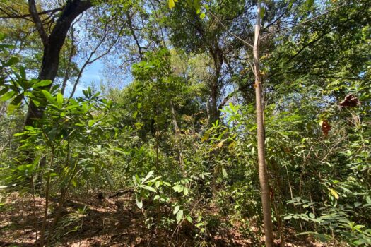 HOME CLOSE TO THE BEACH IN PLAYA LAGARTO