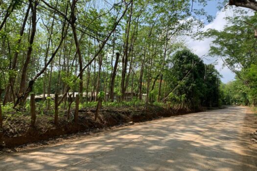 COMMERCIAL LOT IN PLAYA AVELLANAS – GREAT DEAL!!