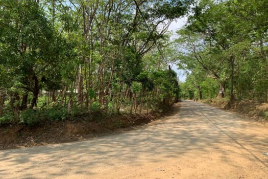 COMMERCIAL LOT IN PLAYA AVELLANAS – GREAT DEAL!!