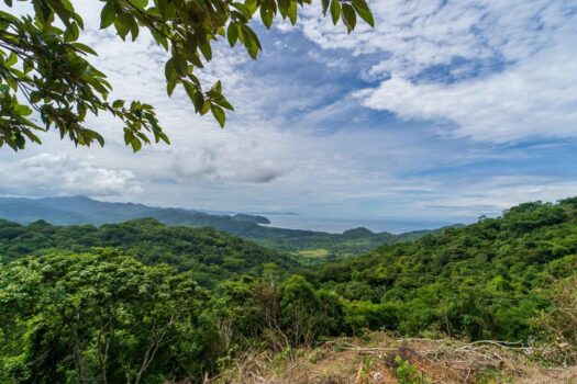 Peninsula Lot with Ocean View in Playa Carrillo – Close to Samara