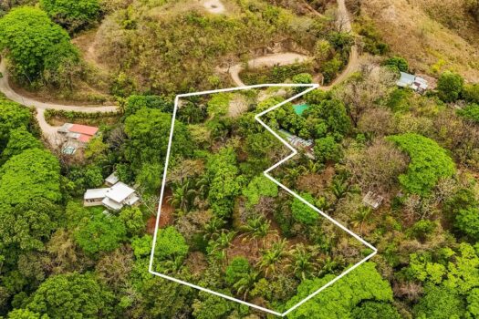 Samara Woods Lot 2A – 1.44 acre Jungle Lot in Gated Community
