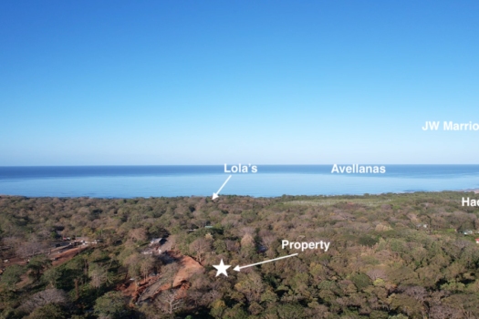 Stunning 7000 m2 Lot in the Heart of Avellanas
