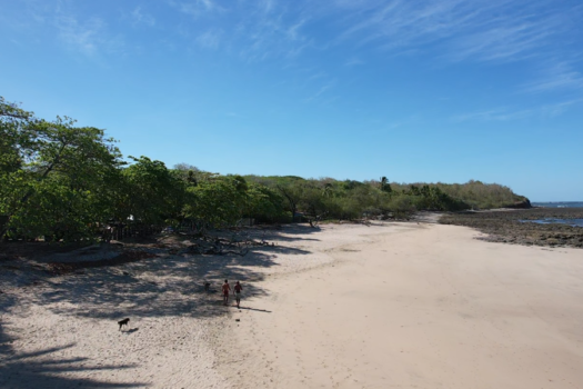 Stunning 7000 m2 Lot in the Heart of Avellanas