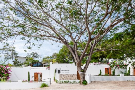 Boutique Hotel In Tamarindo