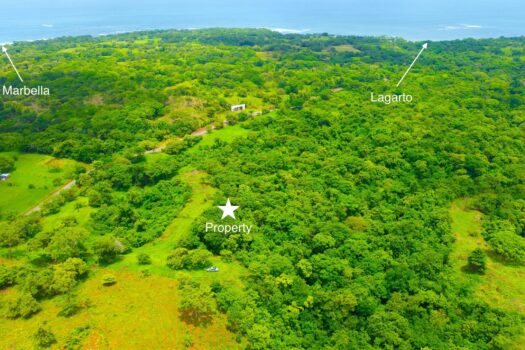 Spectacular 155 Acres Ocean View | Largarto – Marbella