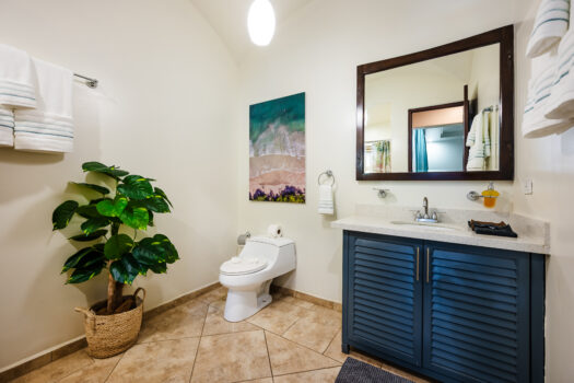 Matapalo DirÃa 103 – 2 BDRM Luxury Condo – Great Amenities & Lagoon Pool – Tamarindo Beach