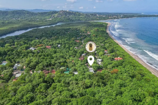 Casa las Baulas, Palm Beach of Playa Grande