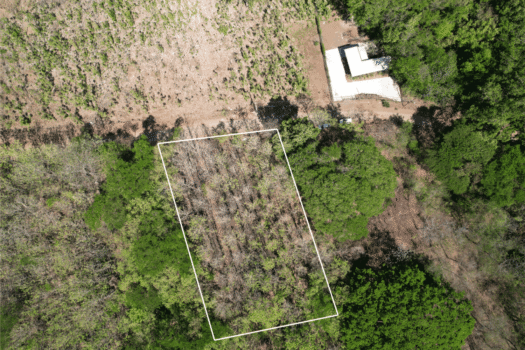 Flat Mixed-Use Lot for Sale in San José de Pinilla | Development Opportunity Near Avellanas