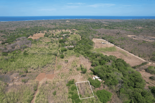 Flat Mixed-Use Lot for Sale in San José de Pinilla | Development Opportunity Near Avellanas