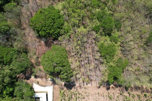 Flat Mixed-Use Lot for Sale in San José de Pinilla | Development Opportunity Near Avellanas