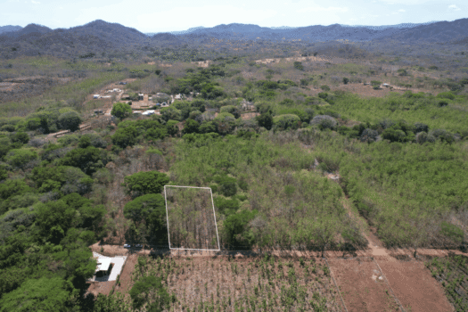 Flat Mixed-Use Lot for Sale in San José de Pinilla | Development Opportunity Near Avellanas