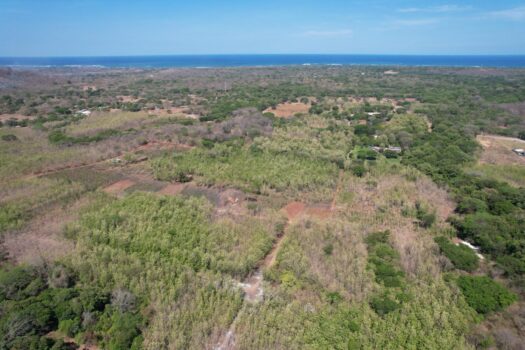 Flat Mixed-Use Lot for Sale in San José de Pinilla | Development Opportunity Near Avellanas