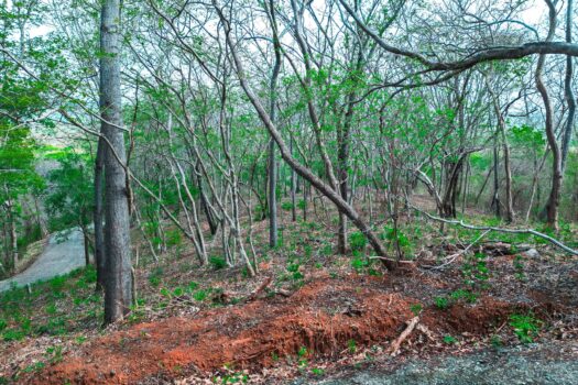 lots for sale in Costa Rica 11A at Cerro Grande Estates – Horse-Friendly, 3.75-Acre Equestrian Dream Property