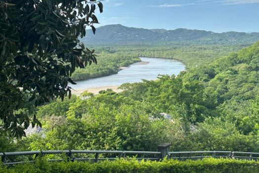 Ocean View Estate Lot | El Tesoro, Playa Tamarindo, Costa Rica