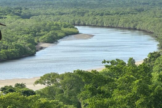 Ocean View Estate Lot | El Tesoro, Playa Tamarindo, Costa Rica
