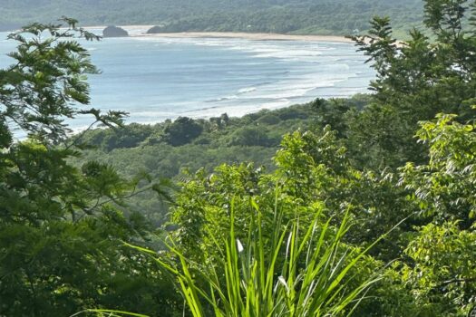 Ocean View Estate Lot | El Tesoro, Playa Tamarindo, Costa Rica