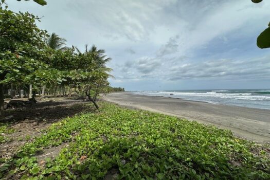 Tropical Paradise Home in Marbella, Guanacaste – 2 Bed | 2 Bath + Studio Cabin | Pool | Fruit Trees | Near Beach & Adventure